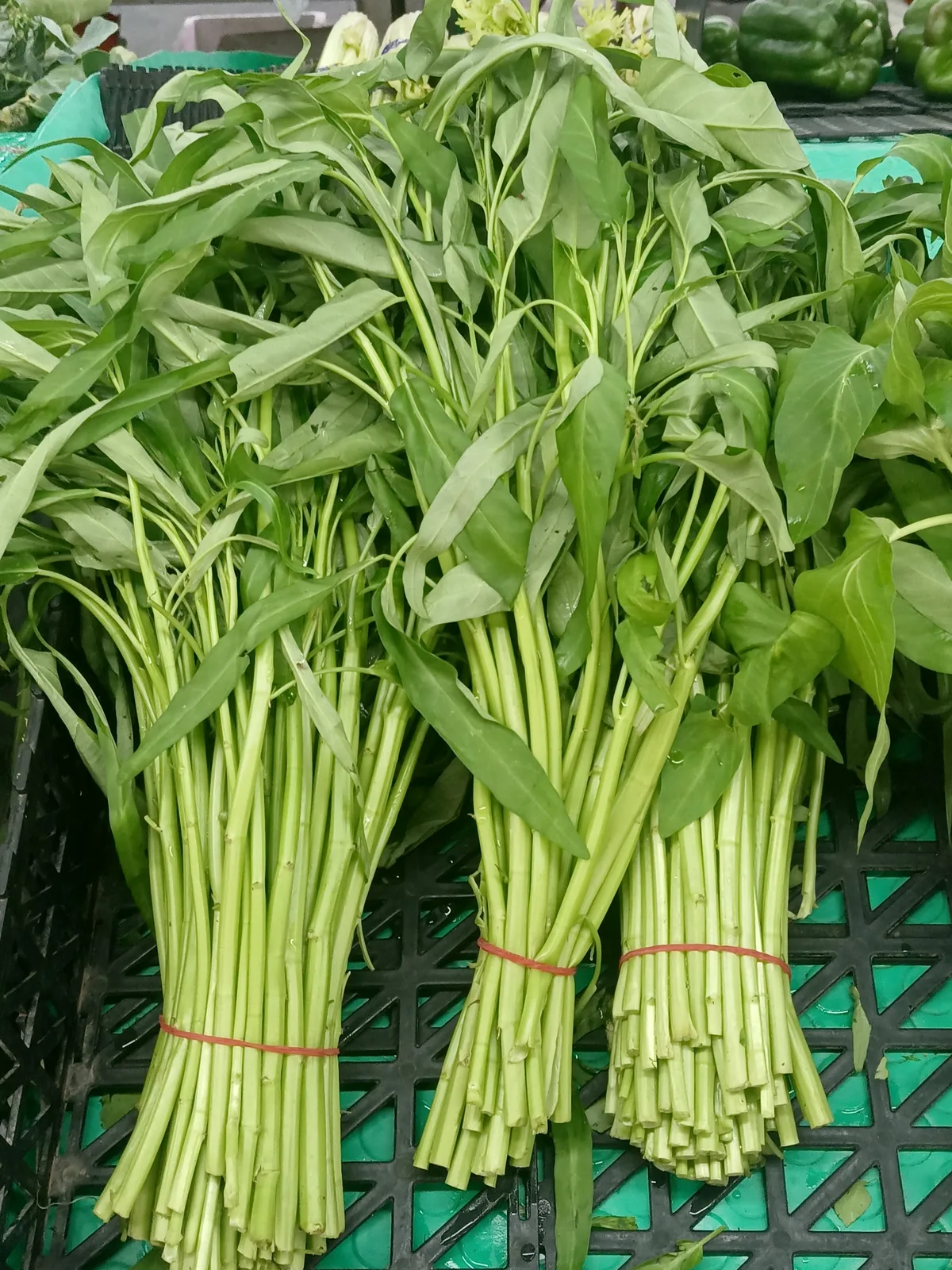 Water Spinach — what FastSnap made of this plate